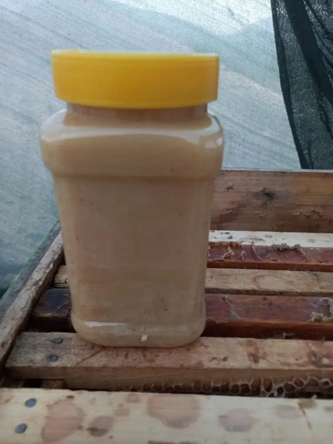 عسل کنار طبیعی|خوردنی و آشامیدنی|باغ بهادران, |دیوار