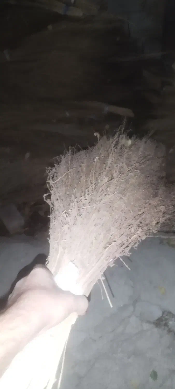 جارو پیشی|لوازم نظافت|زاغه, |دیوار