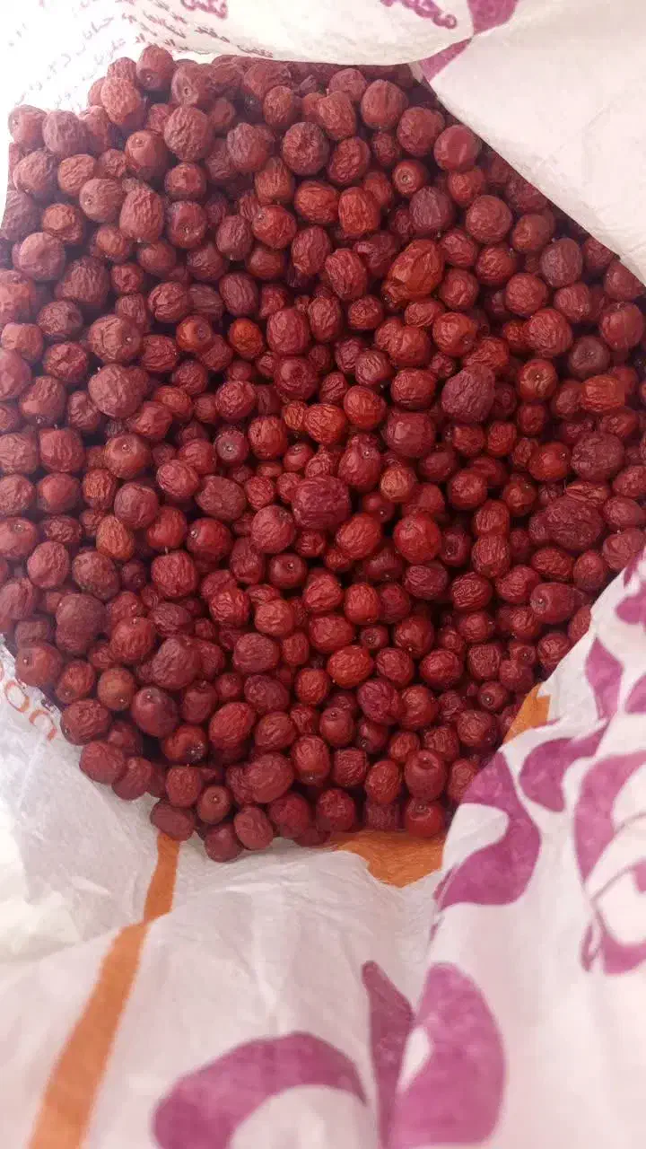 عناب تازه برداشت امسال نرم|خوردنی و آشامیدنی|قره چای, |دیوار