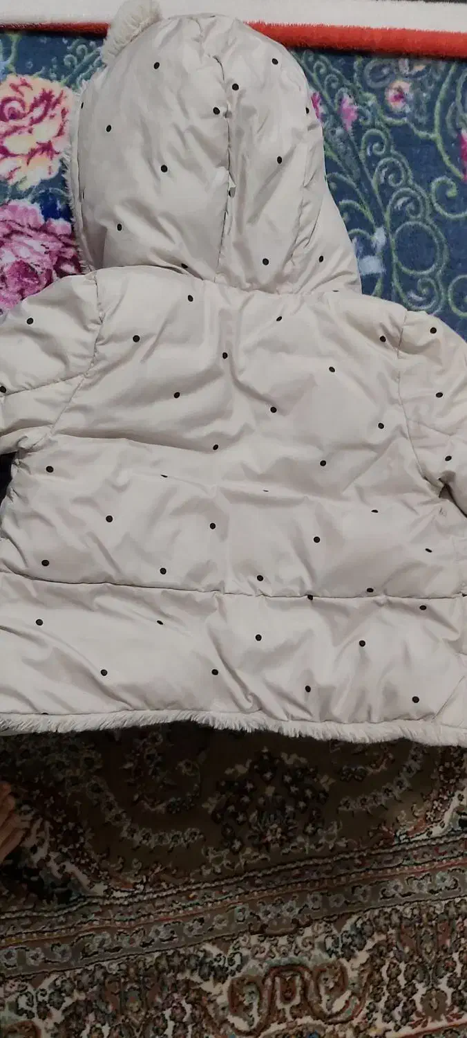 کاپشن اسپورت خارجی|لباس|قم, عمار یاسر|دیوار