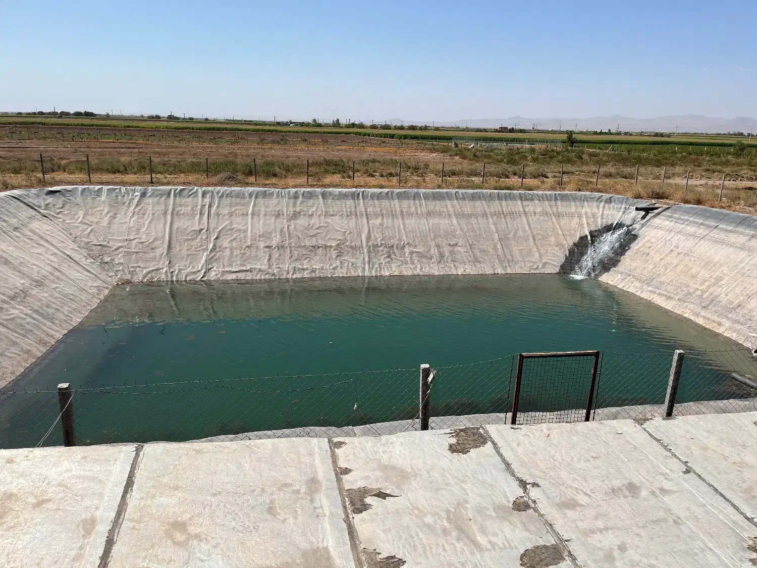 باغ انگور داربستی|فروش دفتر صنعتی، کشاورزی، تجاری|دشتابی, |دیوار