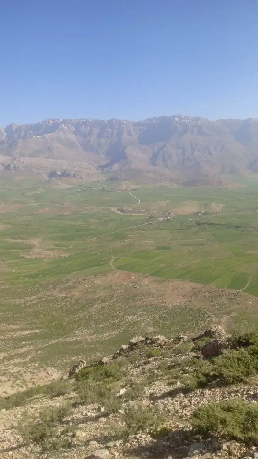 بز وتیشتر|حیوانات|ایذه, |دیوار