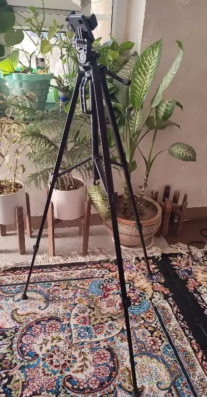 پایه موبایل|دوربین عکاسی و فیلم‌برداری|کوه چنار, |دیوار