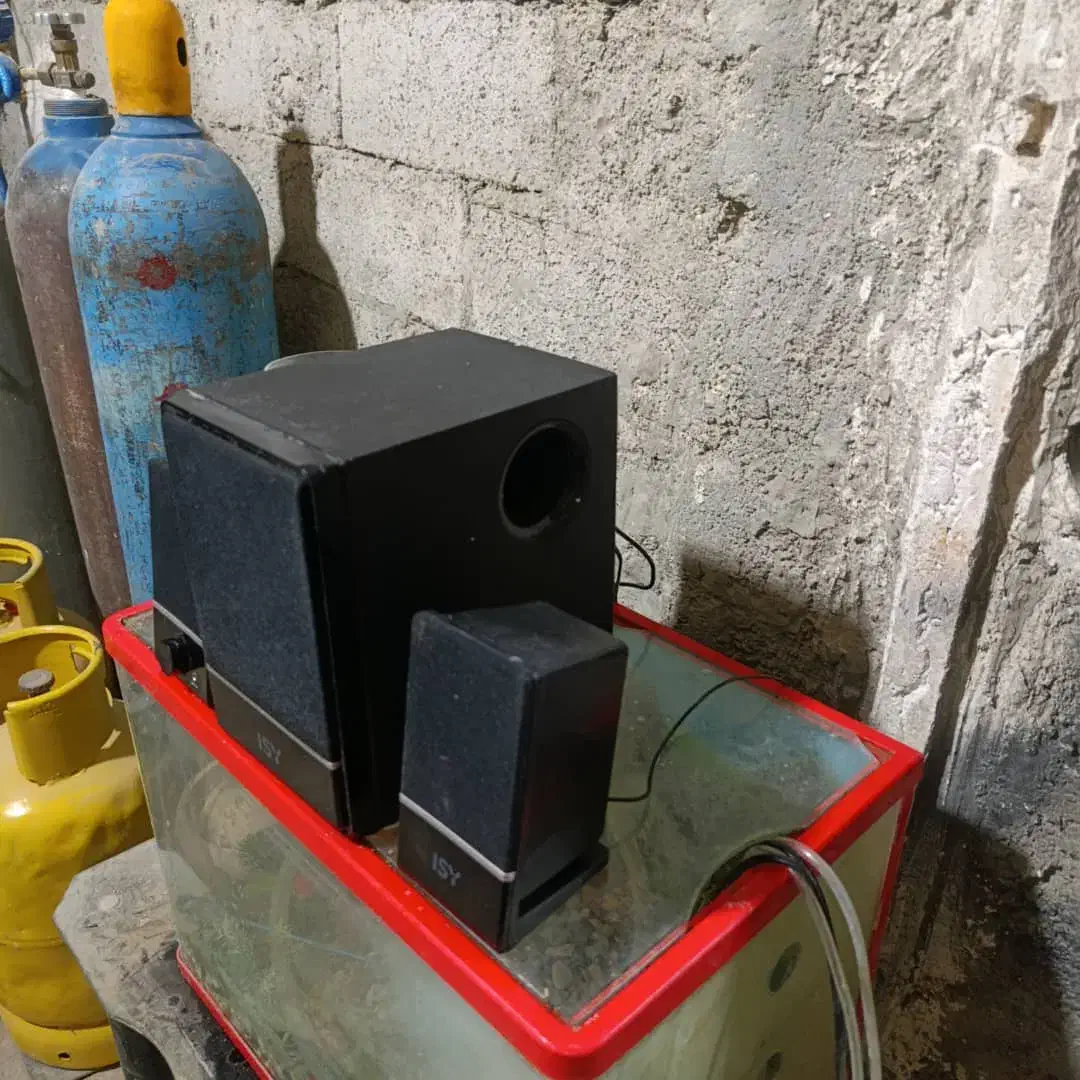 باند یا اسپکر  سالم سالم|سیستم صوتی خانگی|کازرون, |دیوار