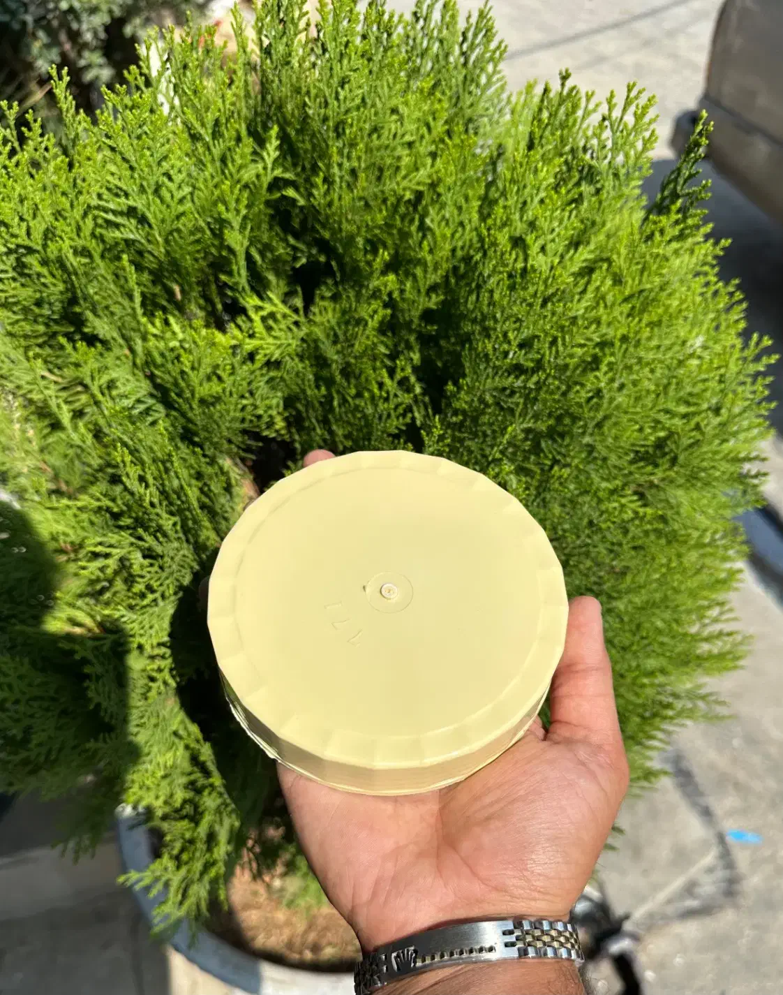 نیازمند کارگر آشنا به تزریق پلاستیک|استخدام صنعتی، فنی، مهندسی|قرچک, ولی آباد|دیوار