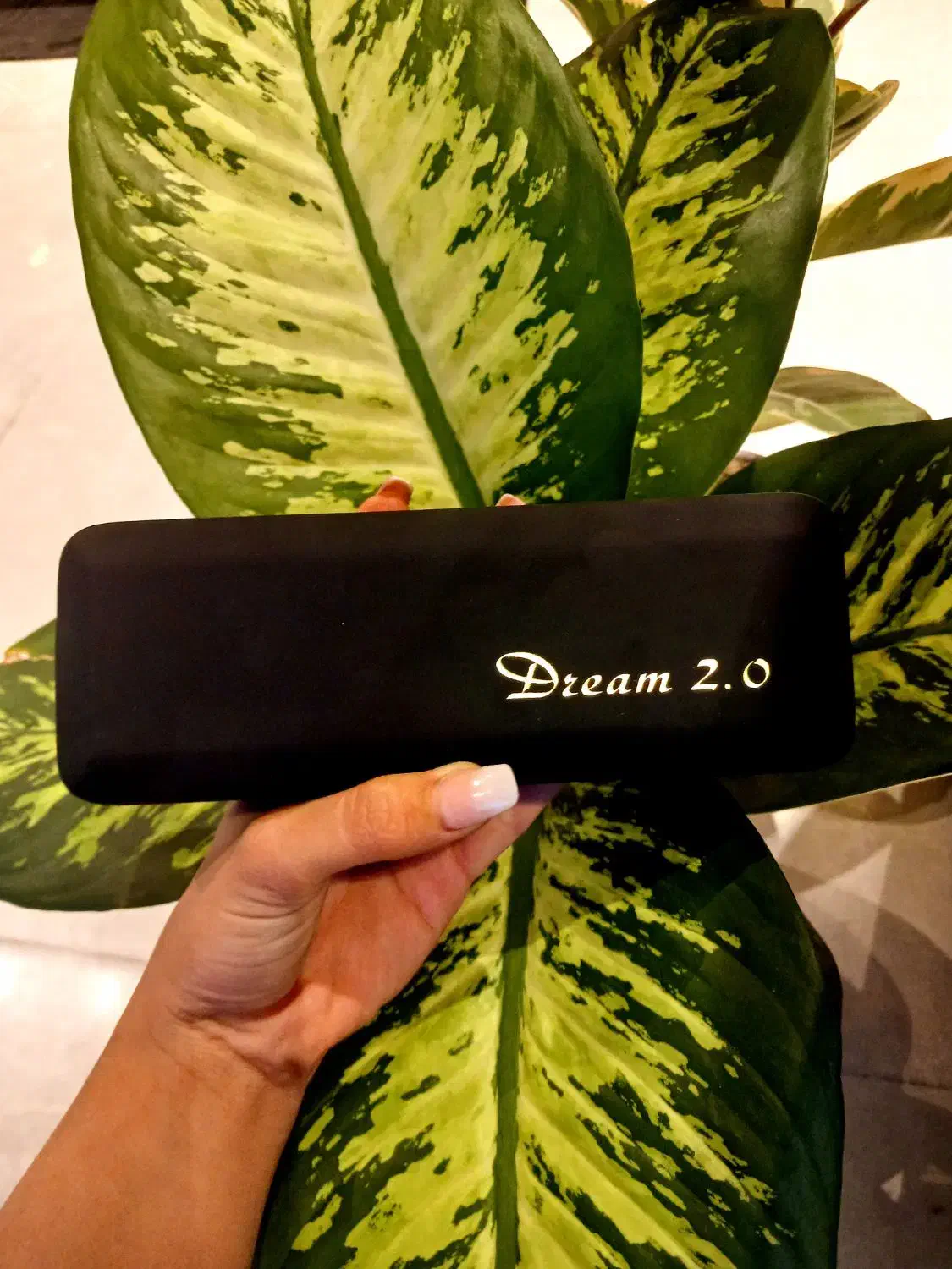 هارمونیکا ایستاپ|سازهای بادی|قزوین, |دیوار