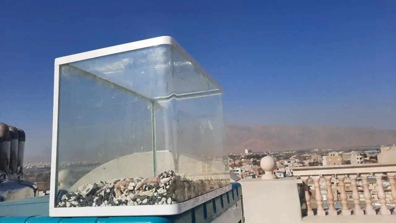 آکواریوم شیشه خم|ماهی|گلپایگان, |دیوار