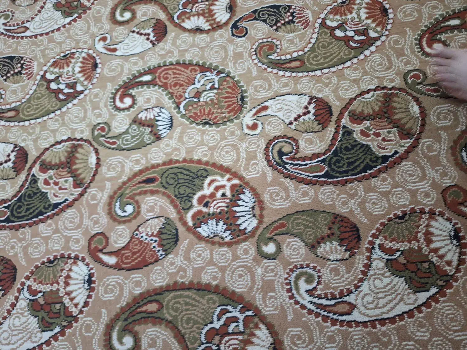 گلیم|گلیم، جاجیم، گبه|بجنورد, |دیوار