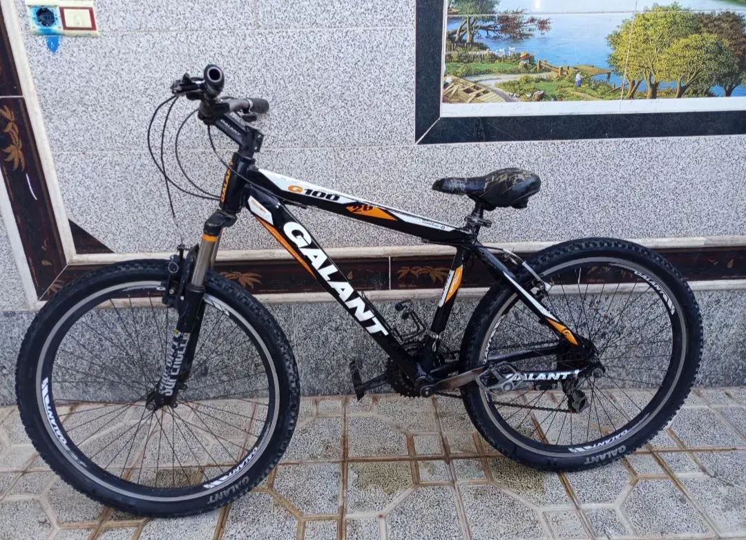 دوچرخه بیست و شش|دوچرخه، اسکیت، اسکوتر|سربیشه, |دیوار