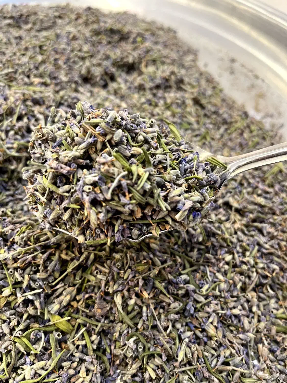 اسطوخودوس|خوردنی و آشامیدنی|شیراز, طلاب|دیوار