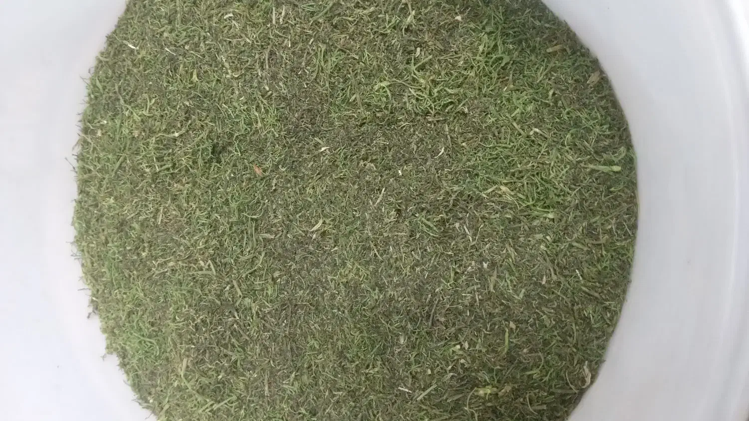 شوید|خوردنی و آشامیدنی|نیشابور, سرآب کوشک|دیوار