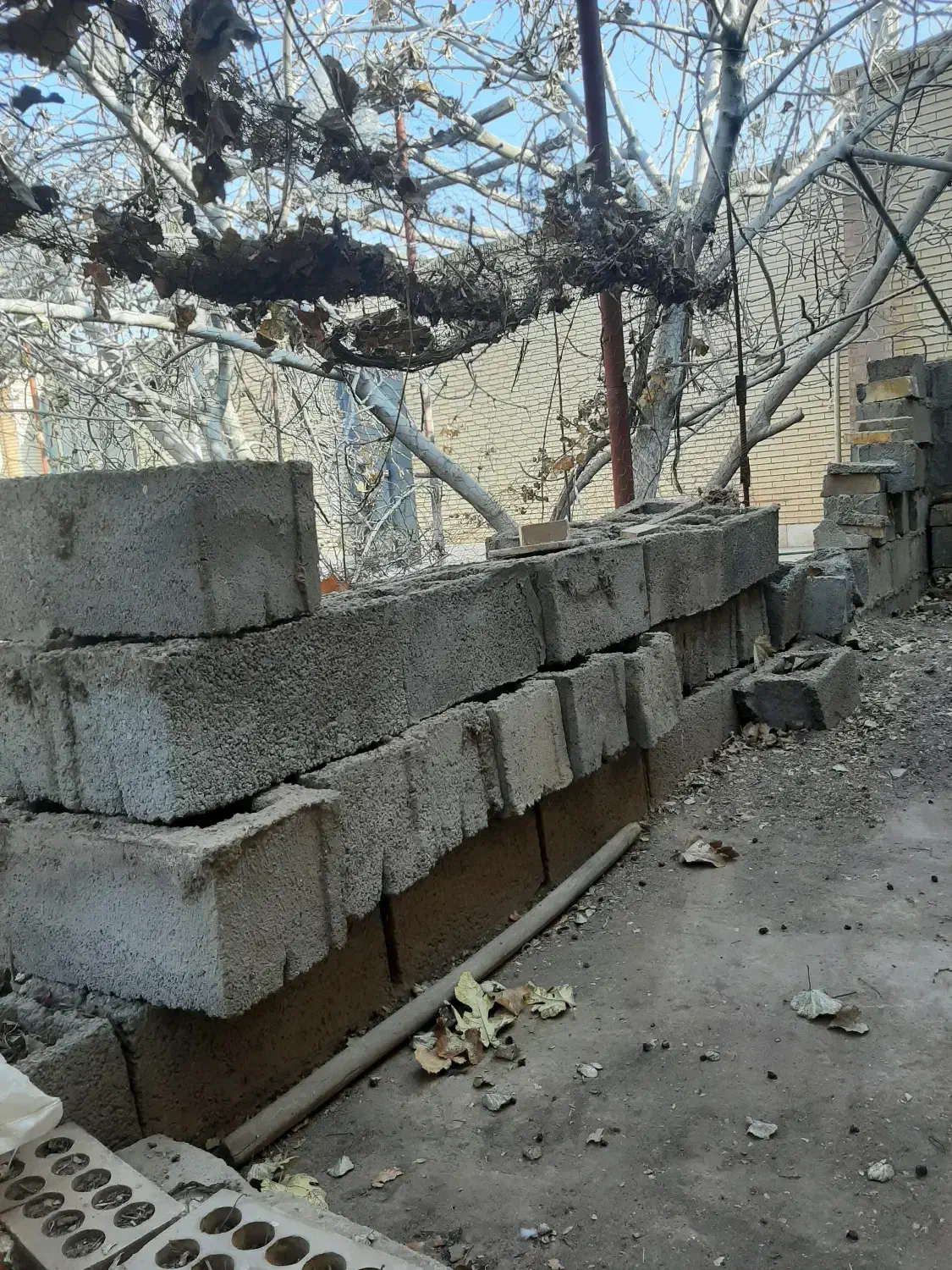 ۵۰ تا بلوک سیمانی|مصالح و تجهیزات ساختمان|رفسنجان, |دیوار