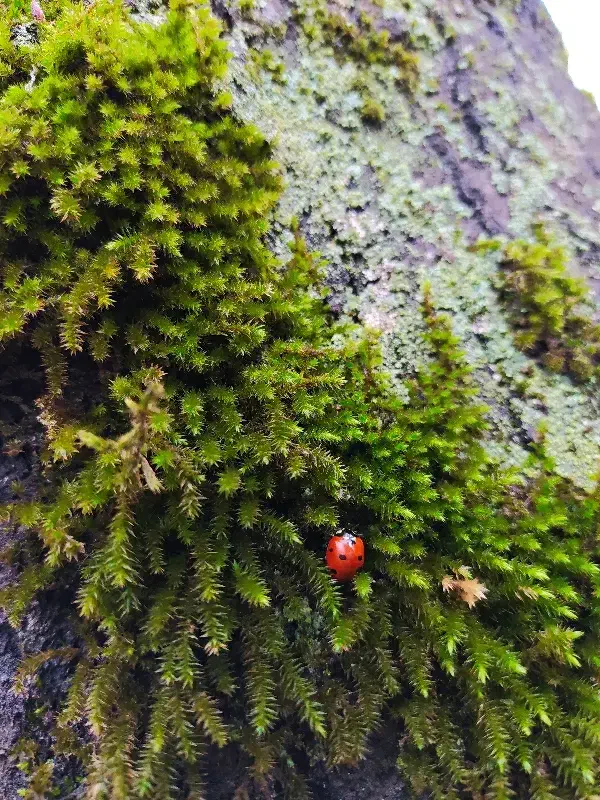 همبازی و سرگرمی|کنسول، بازی ویدئویی و آنلاین|زاهدان, |دیوار