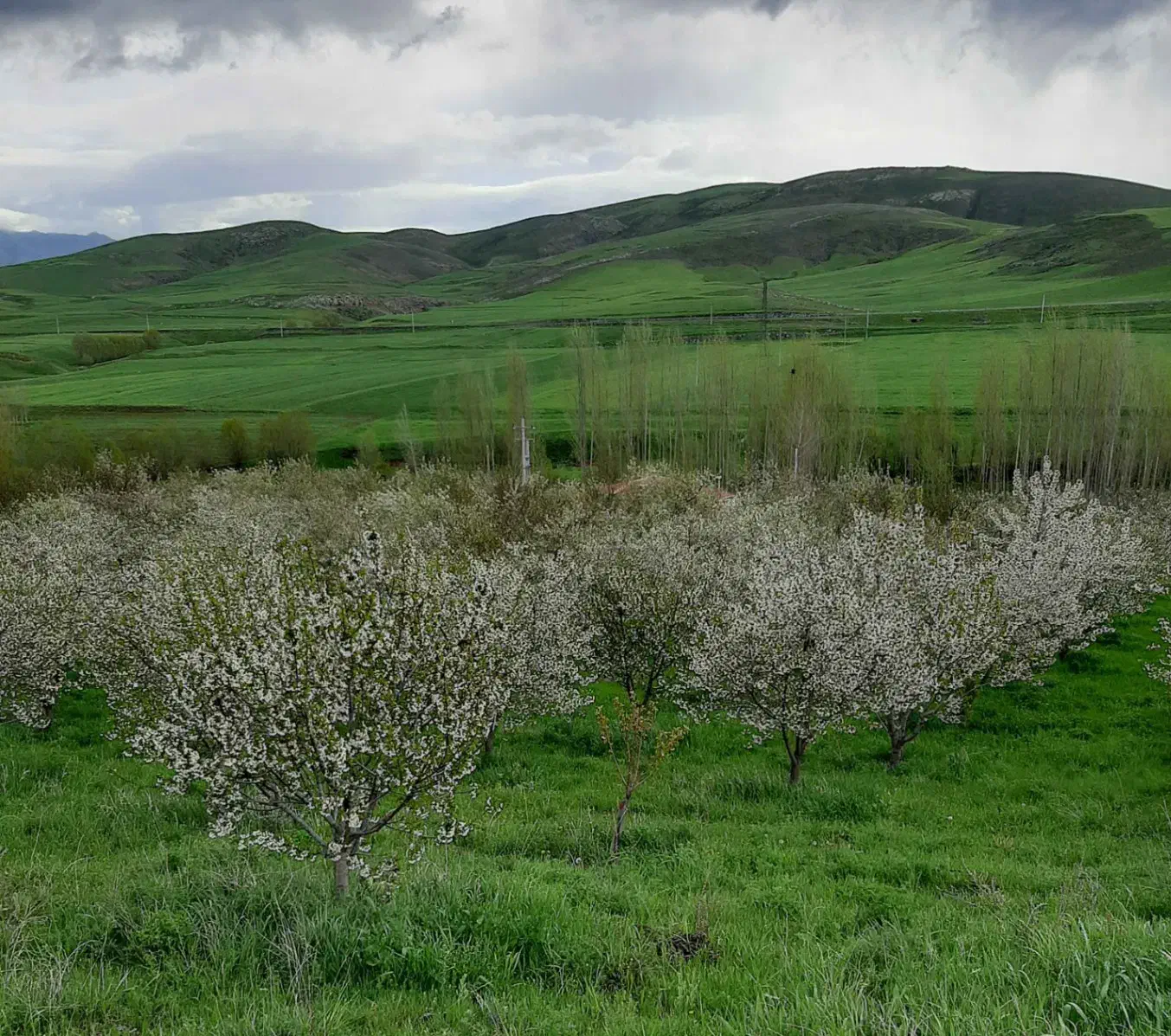 استخدام کارگر و نگهبان باغ|استخدام سرایداری و نظافت|اهر, |دیوار