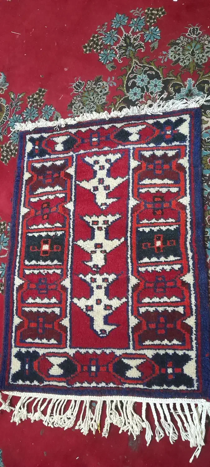 قالیچه یا پادری|پادری|شوشتر, |دیوار