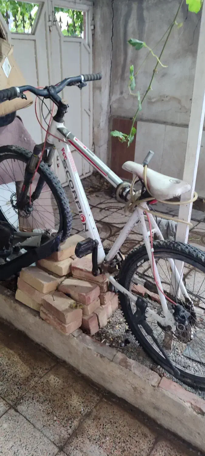 دوچرخه ۲۶|دوچرخه، اسکیت، اسکوتر|قدس, شهر‌قدس|دیوار