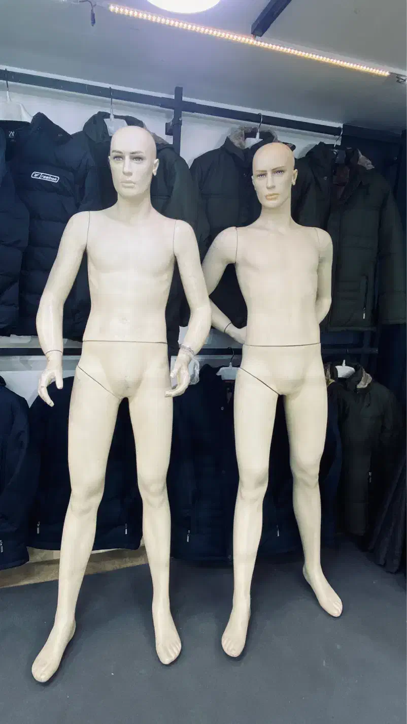 مانکن مردانه در حد نو|فروشگاه و مغازه|قم, زنبیل آباد|دیوار