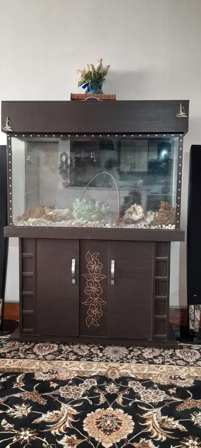 آکواریوم|ماهی|ورامین, ورامین|دیوار