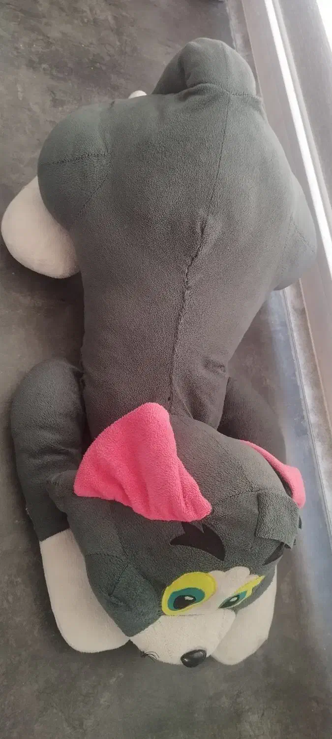 عروسک سایز بزرگ|اسباببازی|پاکدشت, پاکدشت (مامازند)|دیوار