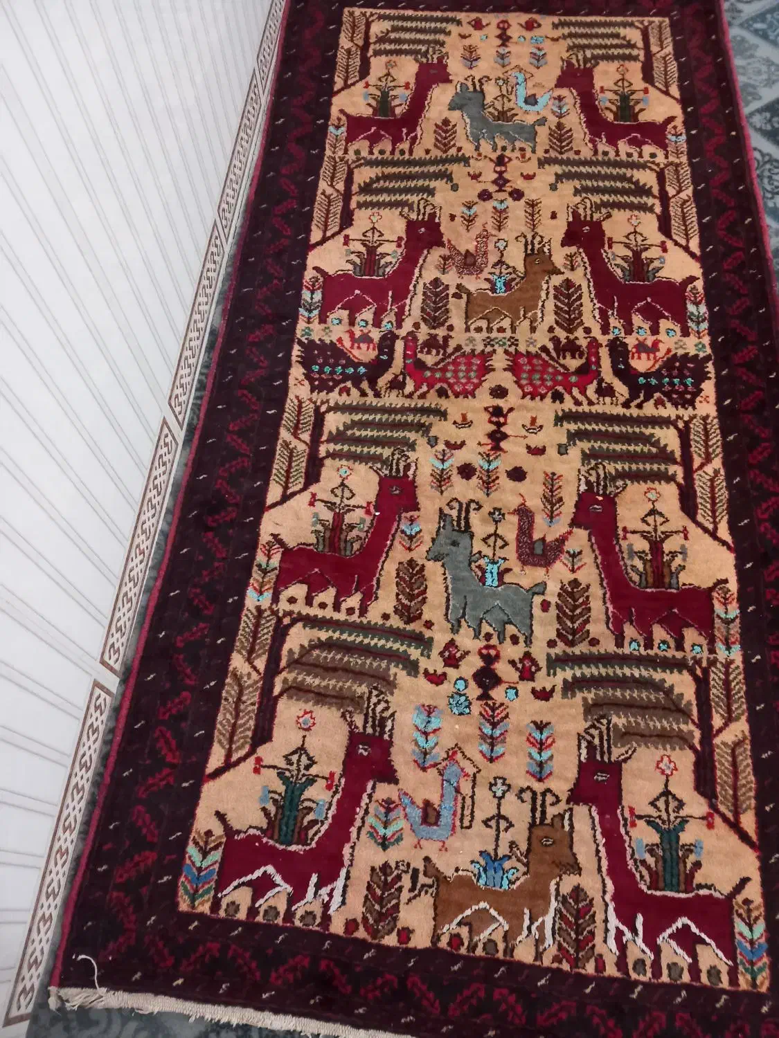 فرش قدیمی دست باف|فرش|تربت‌حیدریه, رجایی|دیوار