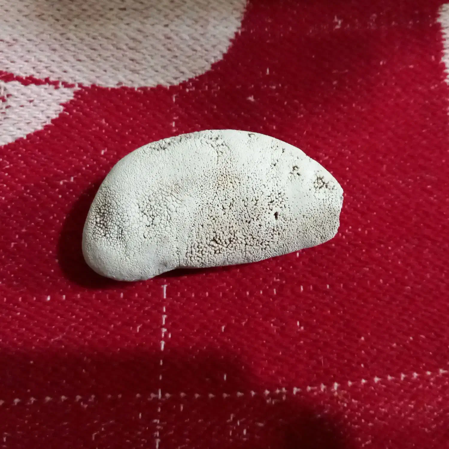 اصل اصل|جواهرات|شهرکرد, |دیوار