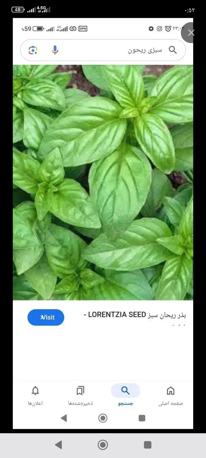 پاک کردن سبزی.|خوردنی و آشامیدنی|شیراز, سلطان آباد|دیوار