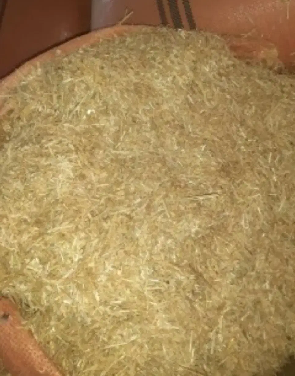 کاه گندم|لوازم جانبی حیوانات|بهار, |دیوار