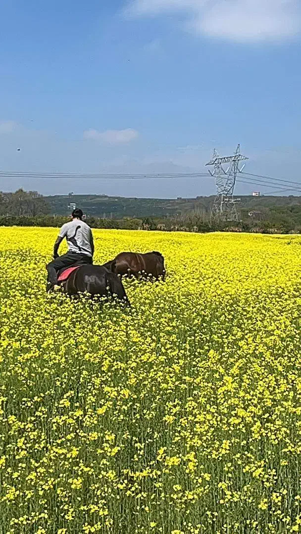 نیازمند کارگر ساده با امکان اسکان در باغ|استخدام سرایداری و نظافت|قائمشهر, |دیوار