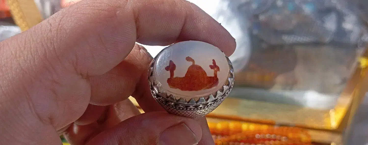 عتیقه شجر نیست در جهان|کلکسیون اشیاء عتیقه|بردسکن, |دیوار