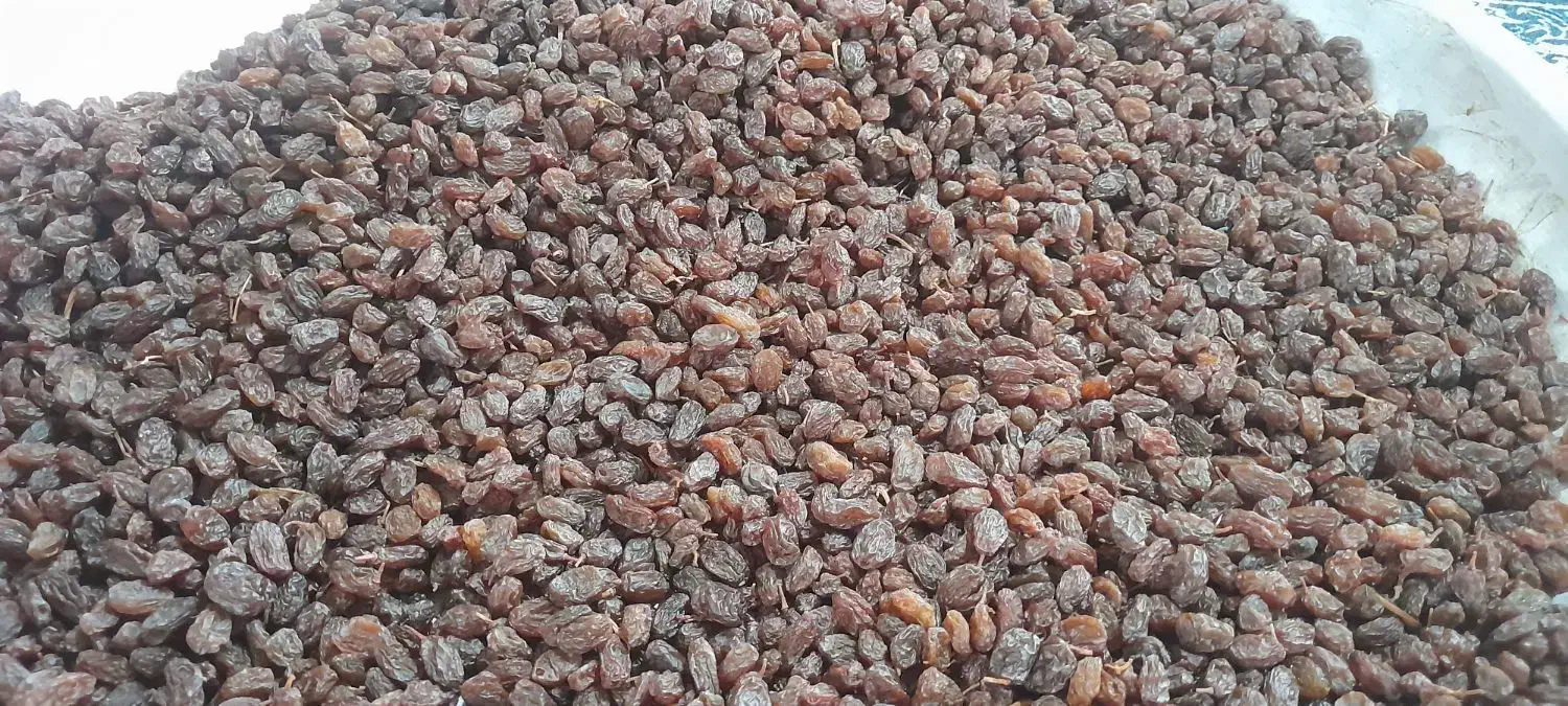 کشمش بیدانه|خوردنی و آشامیدنی|تاکستان, |دیوار