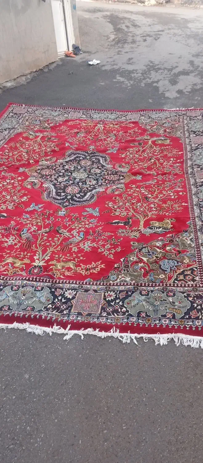 مهاباد|فرش|مهاباد (آذربایجان غربی), |دیوار