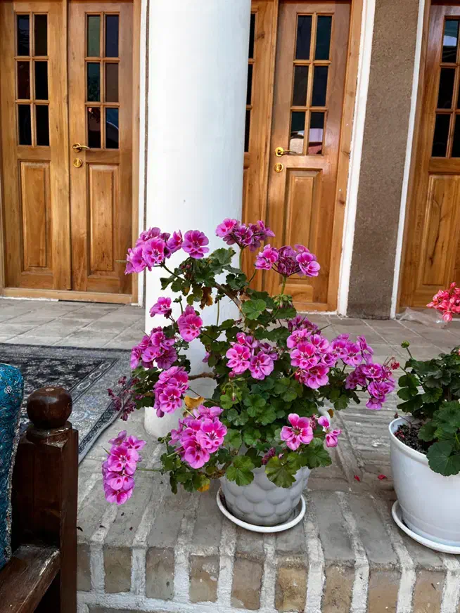 استخدام نیرو همراه با جای خواب و بیمه|استخدام خدمات فروشگاه و رستوران|بسطام, |دیوار