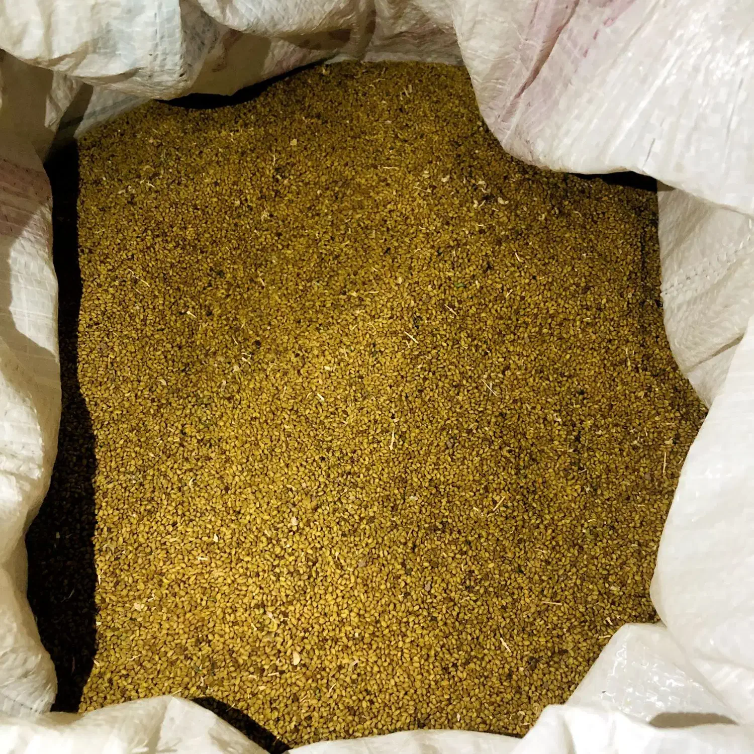 فروش بذر یونجه|عمدهفروشی|نصر آباد, |دیوار