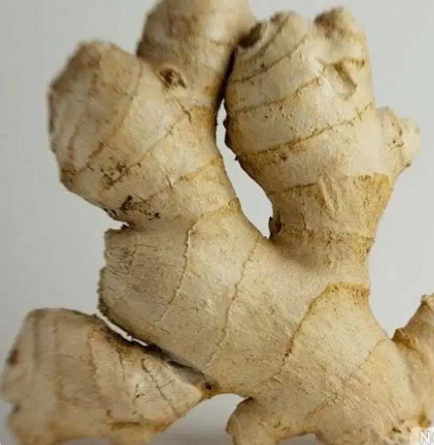 زنجبیل عمده|عمده‌فروشی|سیرجان, |دیوار