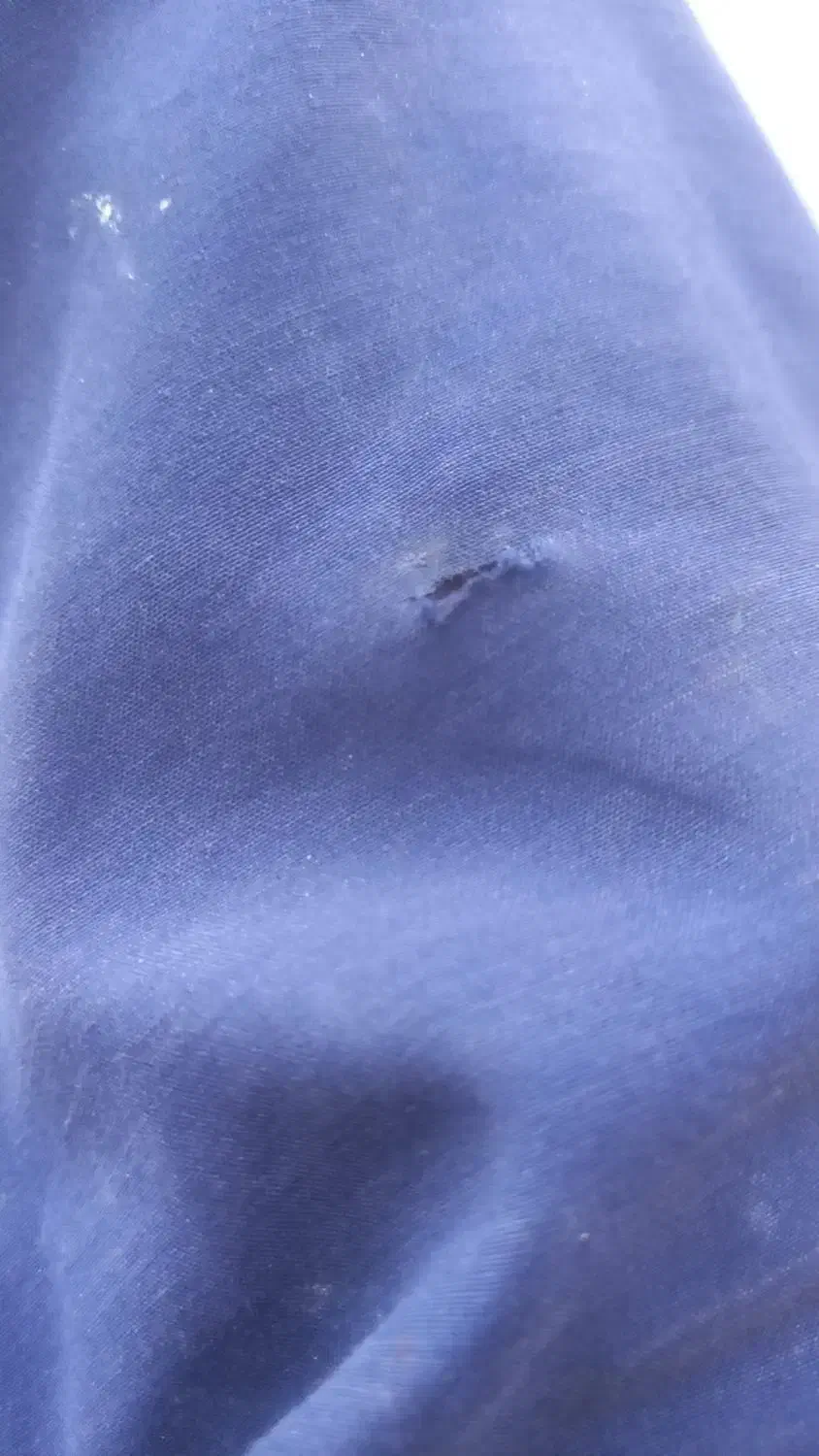 فروشگاه کاه|لوازم جانبی حیوانات|آستارا, |دیوار