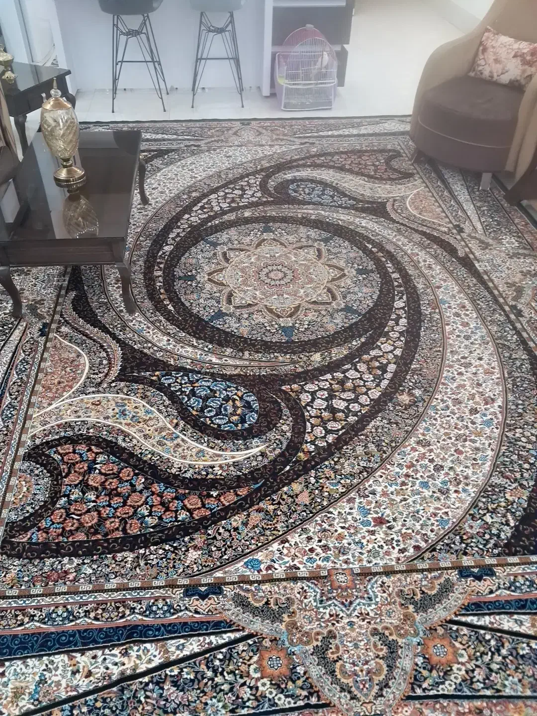 فرش ۱۲ متری|فرش|تربت‌حیدریه, داروپخش|دیوار