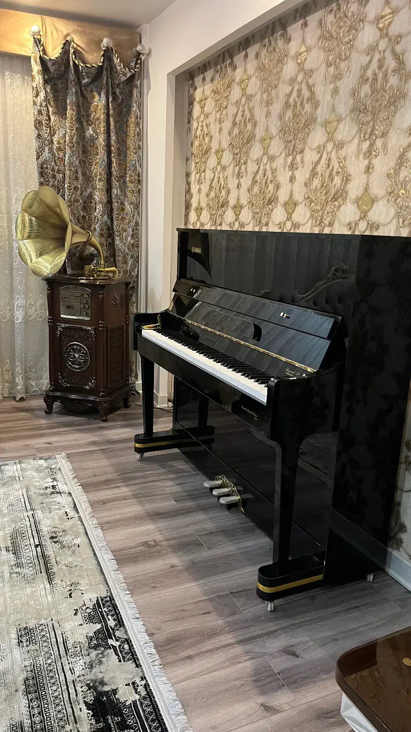 فروش تخصصی انواع پیانو اقساطی|پیانو، کیبورد، آکاردئون|گرگان, |دیوار