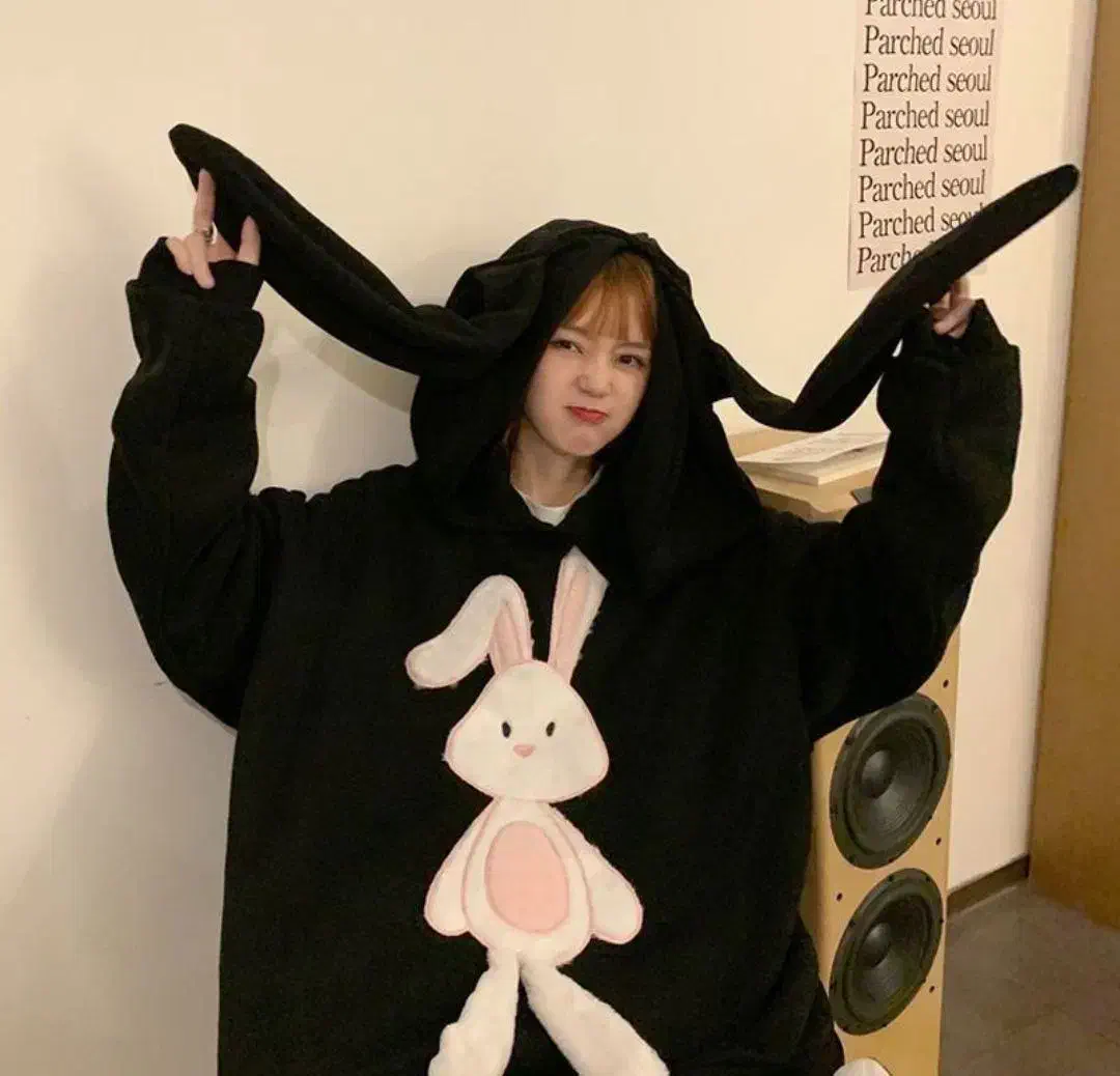 هودی خرگوشی دخترانه و زنانه|لباس|گلبهار, شهر جدید گلبهار|دیوار