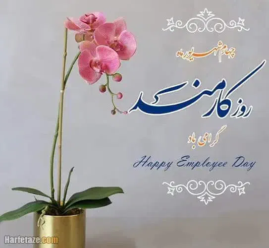 شرکت کار خوبه خدا درست کند|استخدام سرایداری و نظافت|کاشان, فاز ۲ ناجی آباد|دیوار