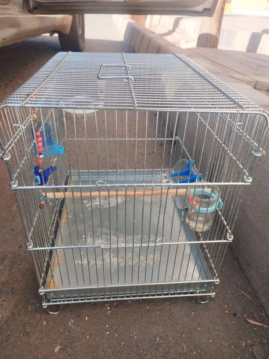 قفس سهره یا سقا|لوازم جانبی حیوانات|کرمان, |دیوار