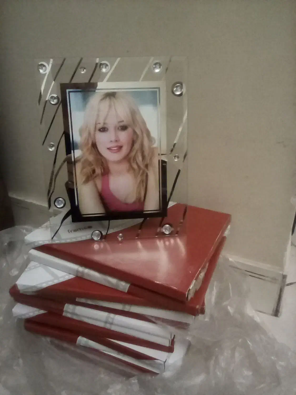 قاب عکس مدل نگین دار|تابلو، نقاشی، عکس|تهران, باغ خزانه|دیوار