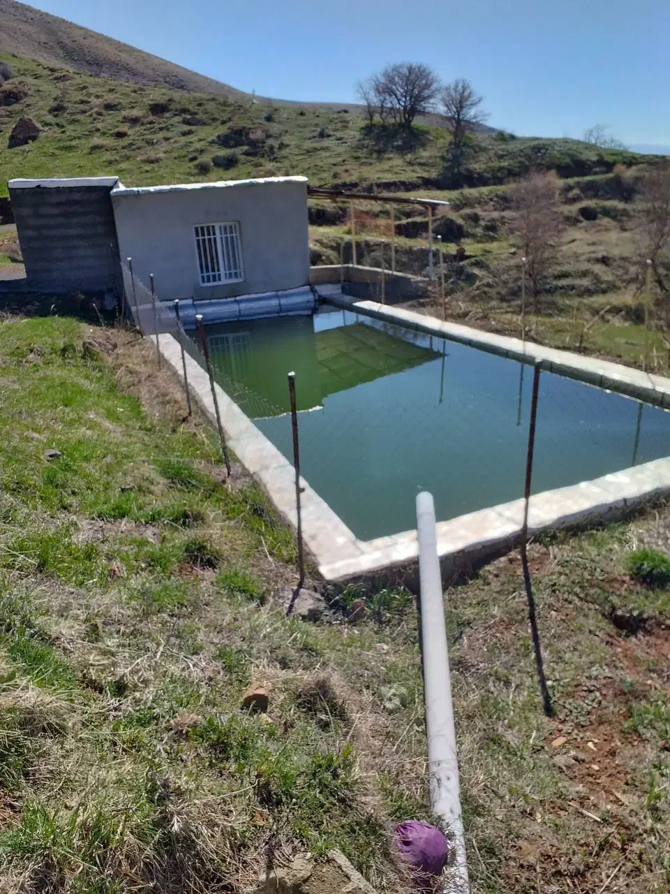 فروش زمین کشاورزی|فروش زمین و ملک کلنگی|موچش, |دیوار