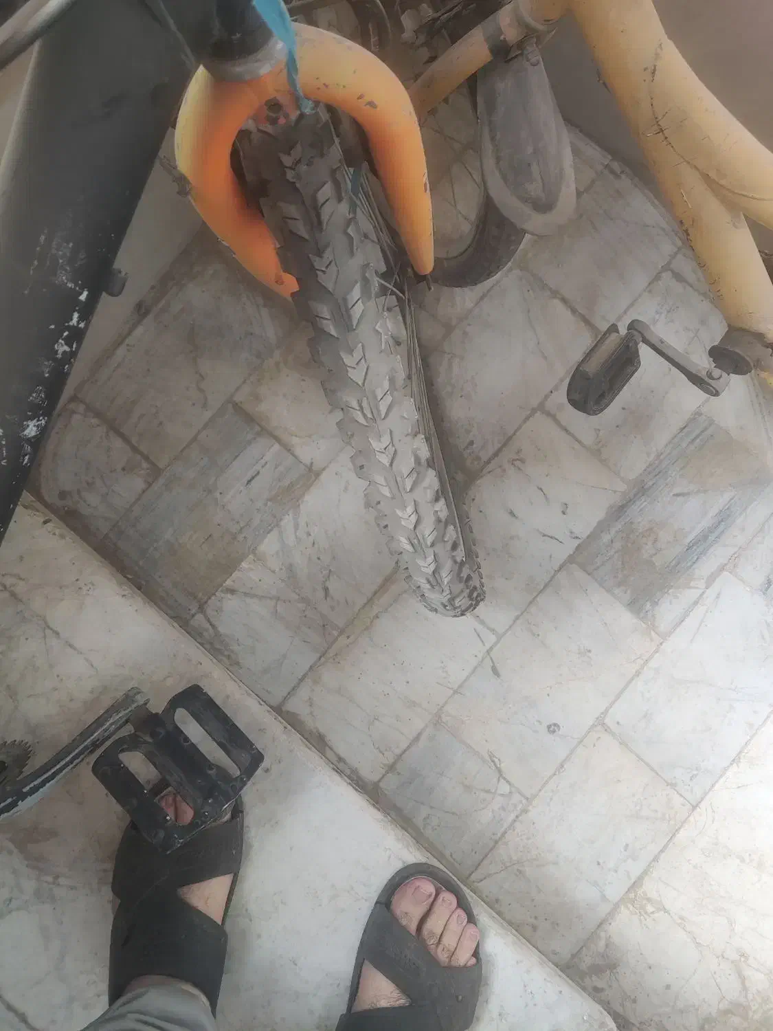 دو عدد دوچرخه|دوچرخه، اسکیت، اسکوتر|قدس, شهر‌قدس|دیوار