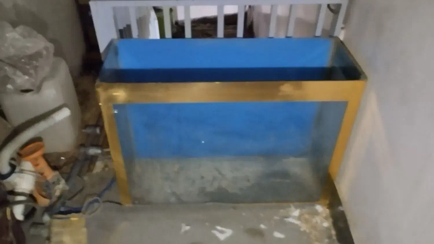 اکواریوم|ماهی|ساوه, |دیوار