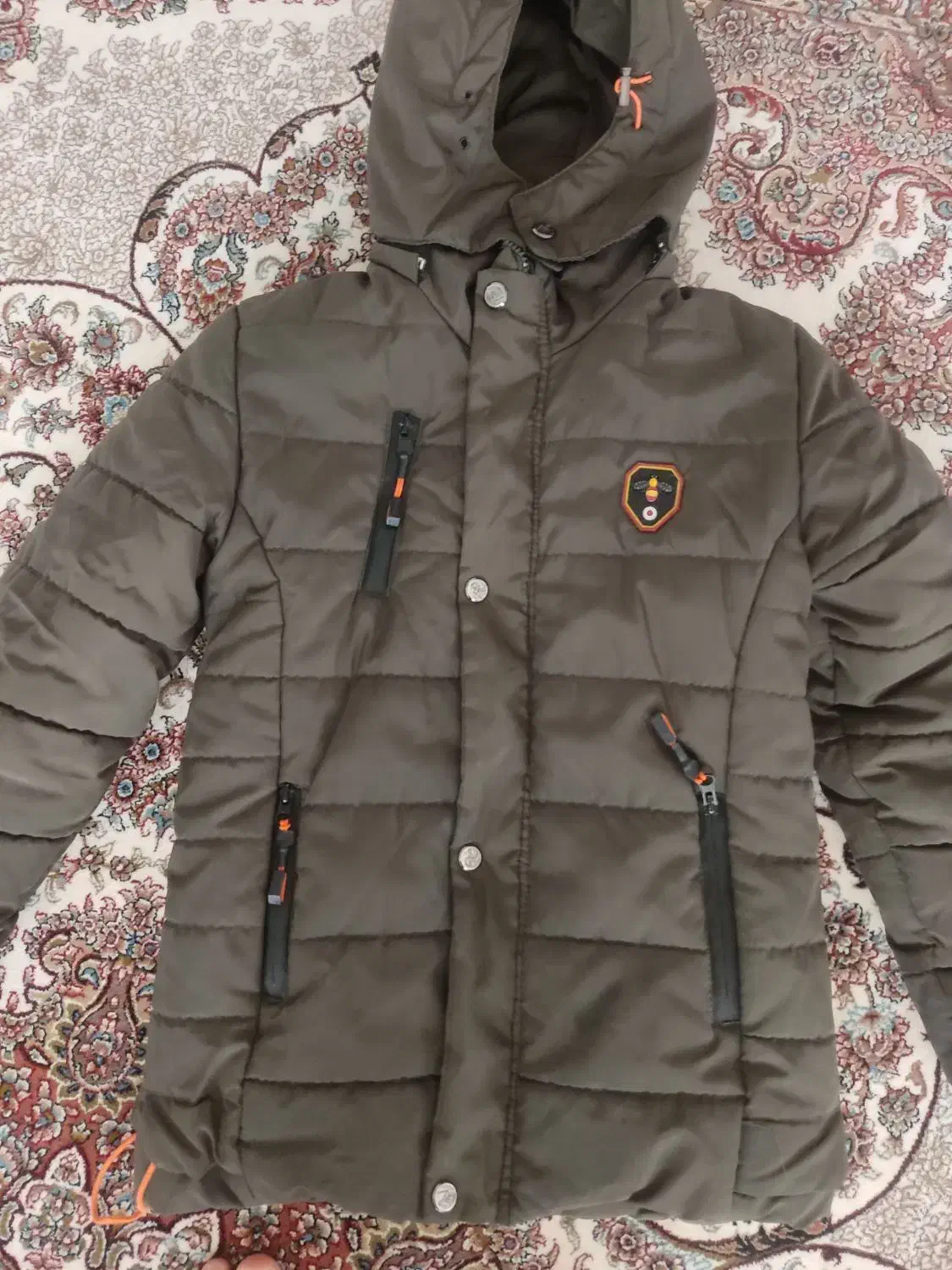 کاپشن یشمی زیبا|لباس|محمدیه-قزوین, |دیوار