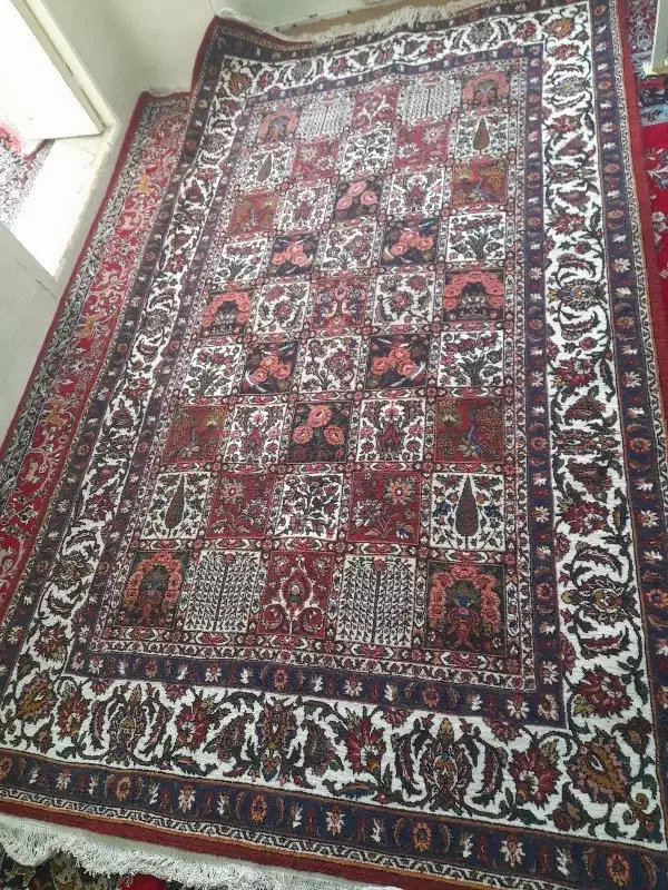 قالی|فرش|شهرکرد, |دیوار