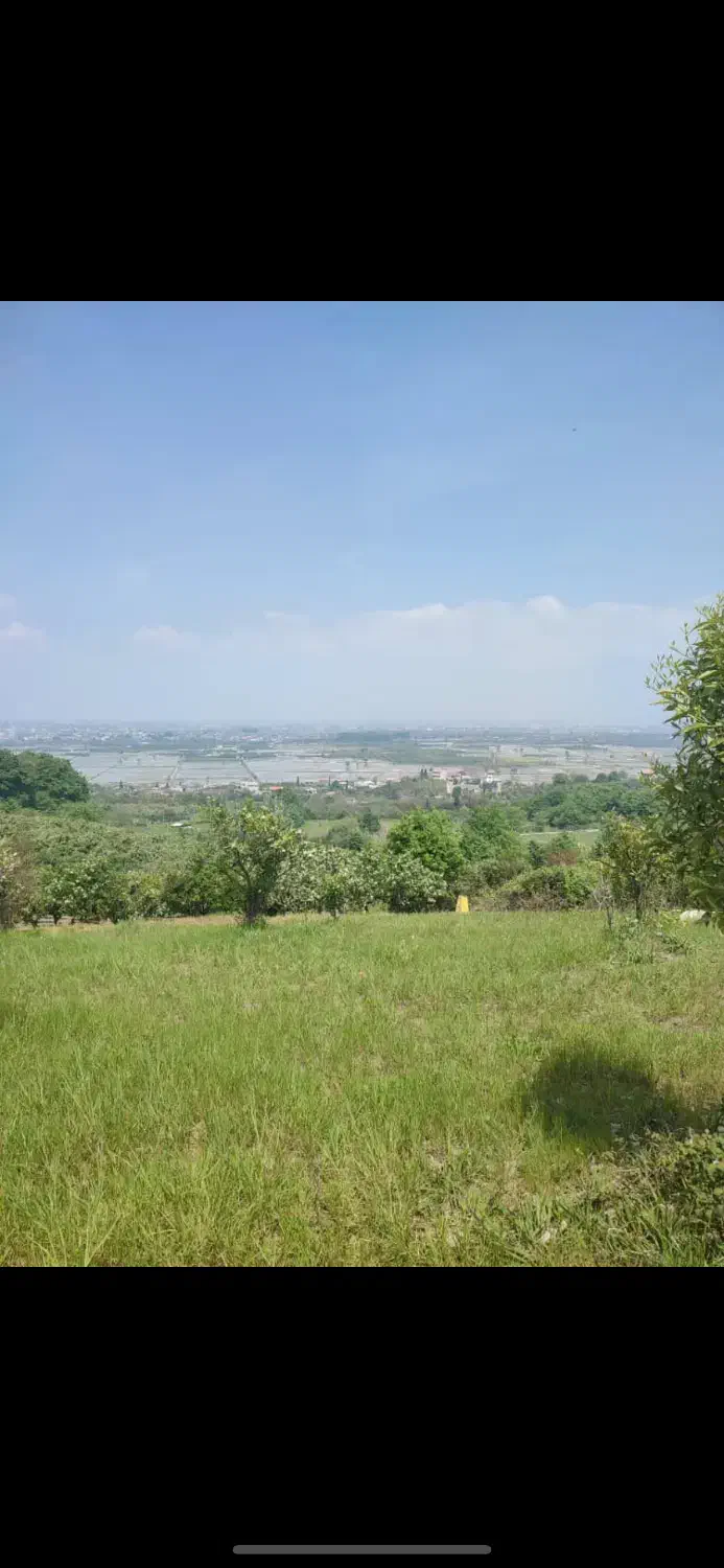 زمین باغی|فروش زمین و ملک کلنگی|ارطه, |دیوار