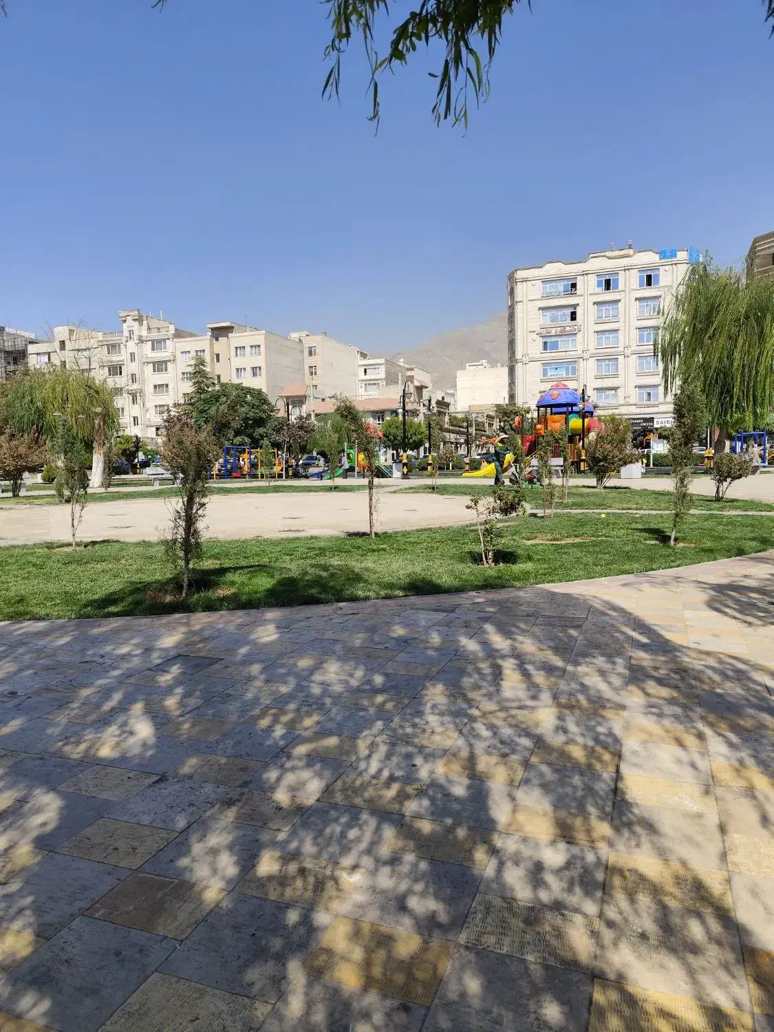 شراکت کار پخش دخانیات|فعالیت داوطلبانه|تهران, تهرانسر مرکزی|دیوار