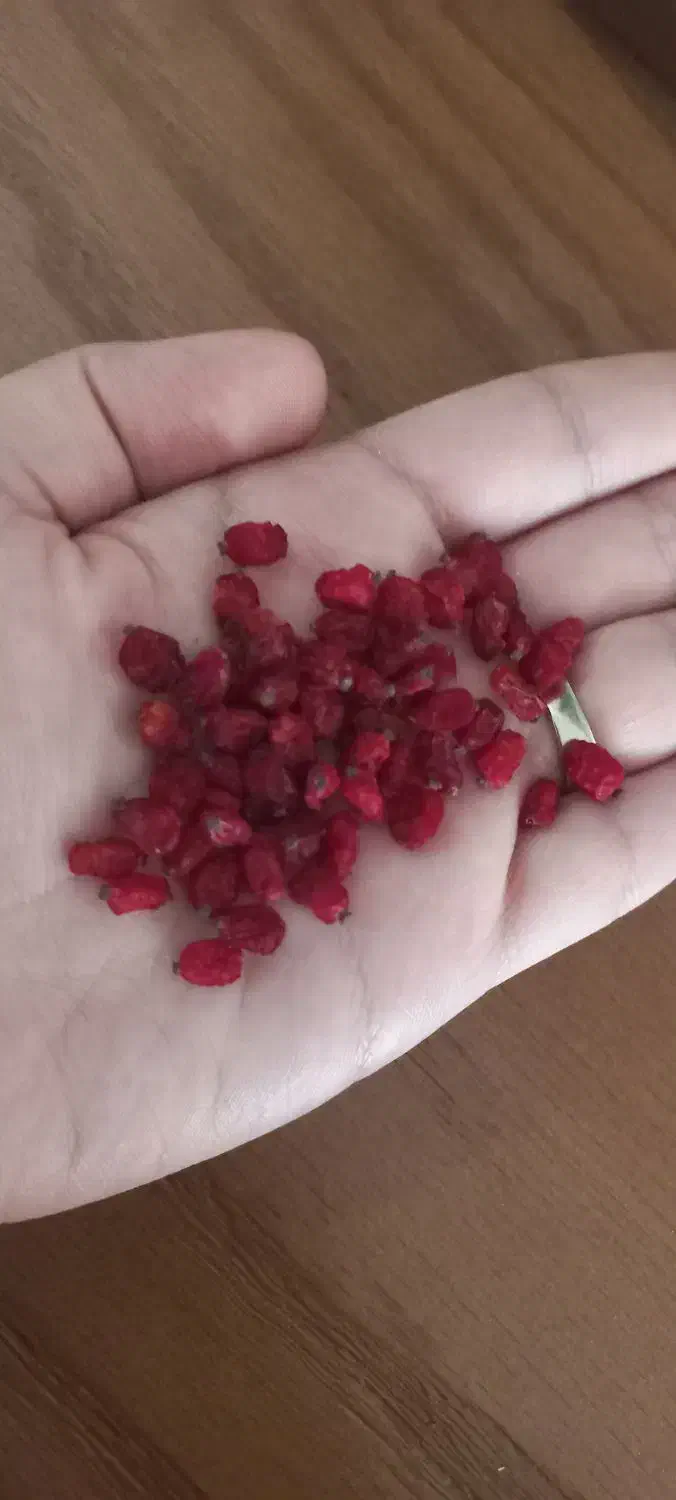 زرشک پفکی قائنات|حراج|قوچان, |دیوار