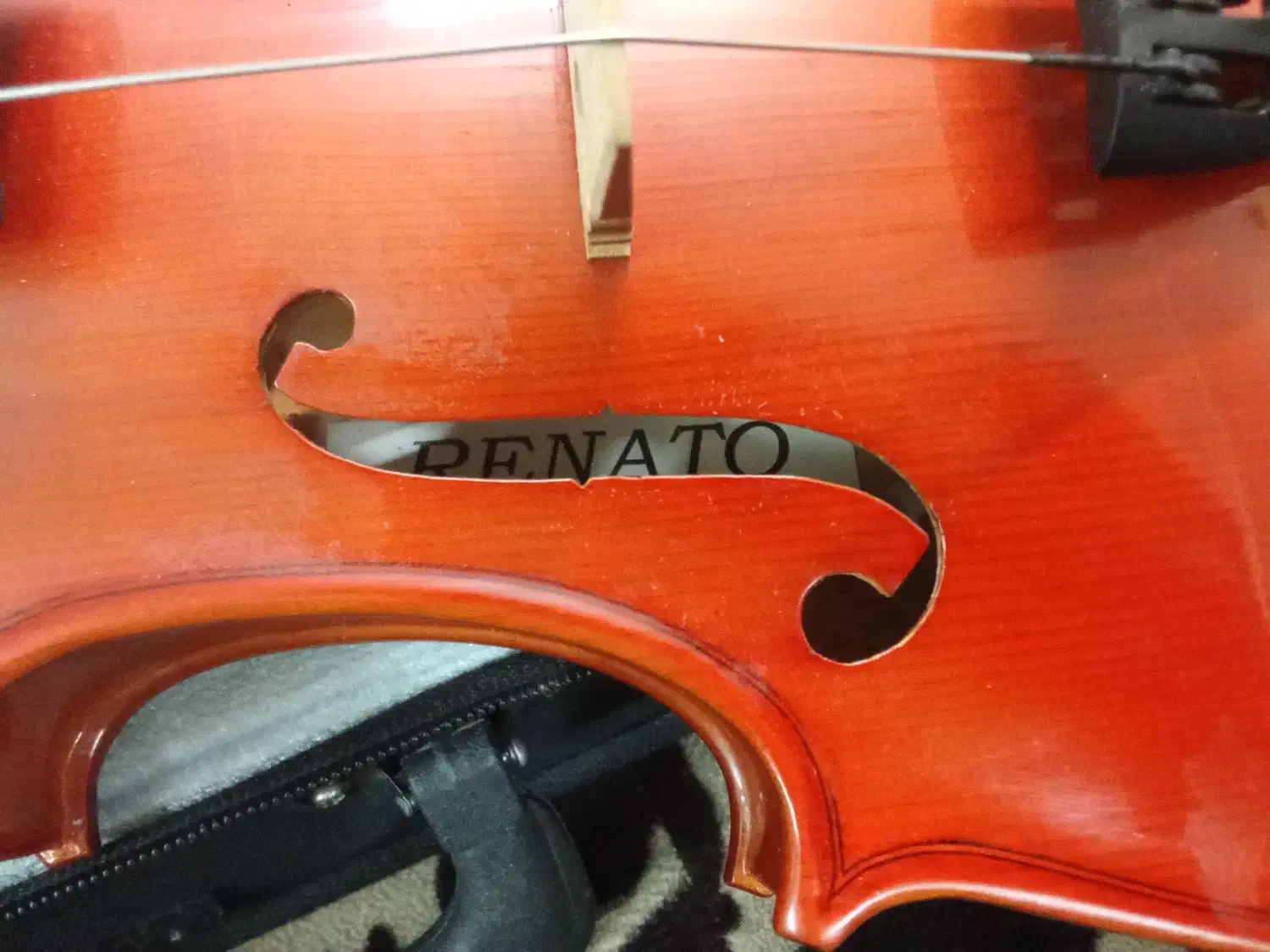 دو دست ویالون تمیز|ویولن|بابلسر, |دیوار